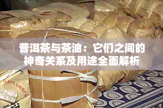 普洱茶与茶油：它们之间的神奇关系及用途全面解析