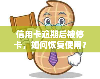 信用卡逾期后被停卡，如何恢复使用？相关政策和解决办法一文解析