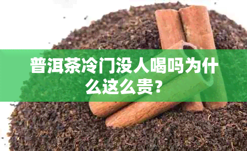 普洱茶冷门没人喝吗为什么这么贵？