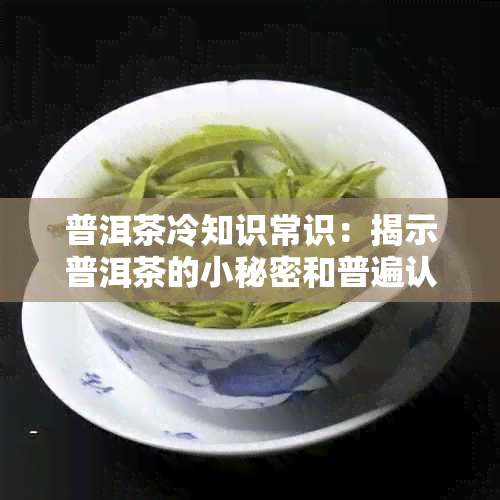 普洱茶冷知识常识：揭示普洱茶的小秘密和普遍认知之外的知识