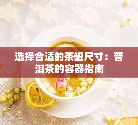 选择合适的茶罐尺寸：普洱茶的容器指南