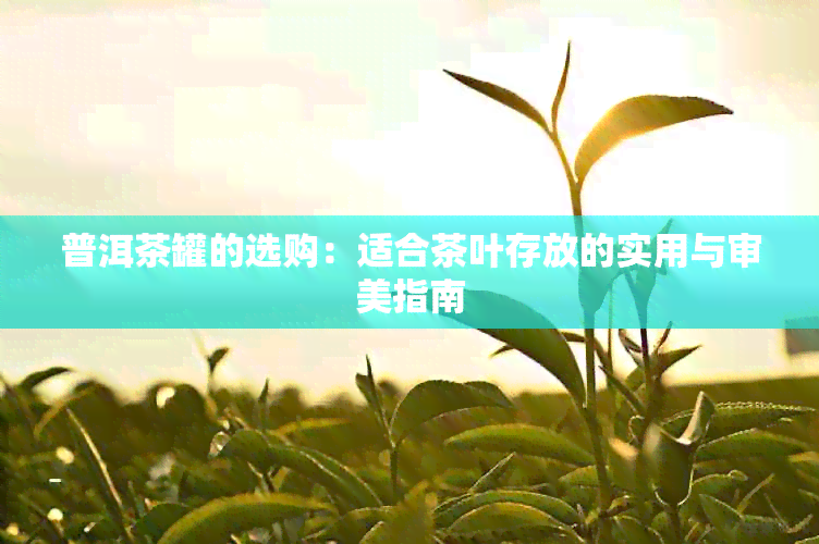 普洱茶罐的选购：适合茶叶存放的实用与审美指南