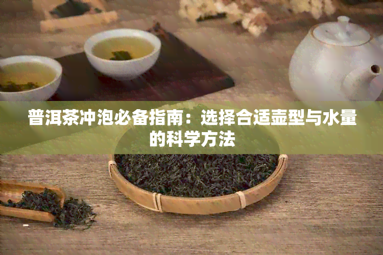 普洱茶冲泡必备指南：选择合适壶型与水量的科学方法