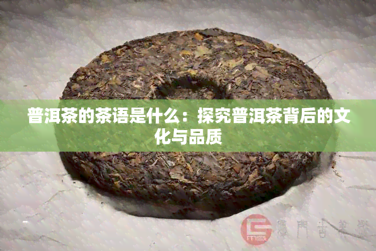 普洱茶的茶语是什么：探究普洱茶背后的文化与品质