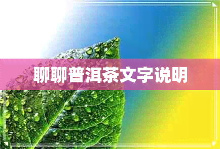 聊聊普洱茶文字说明