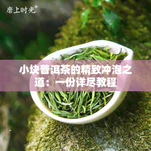 小块普洱茶的精致冲泡之道：一份详尽教程