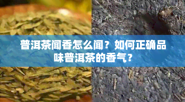 普洱茶闻香怎么闻？如何正确品味普洱茶的香气？