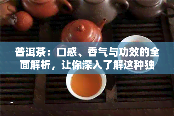 普洱茶：口感、香气与功效的全面解析，让你深入了解这种独特茶叶