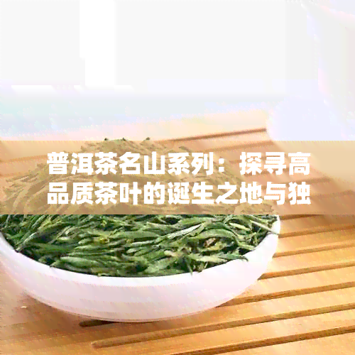 普洱茶名山系列：探寻高品质茶叶的诞生之地与独特风味