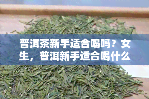 普洱茶新手适合喝吗？女生，普洱新手适合喝什么茶？新手普洱茶推荐