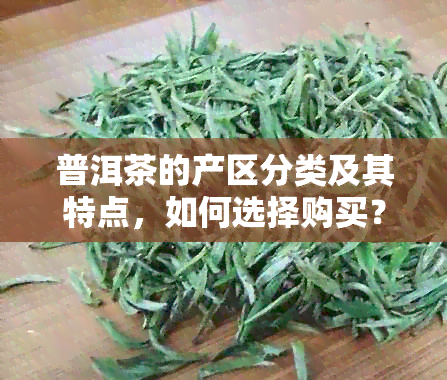 普洱茶的产区分类及其特点，如何选择购买？