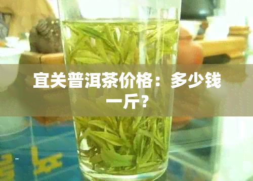 宜关普洱茶价格：多少钱一斤？