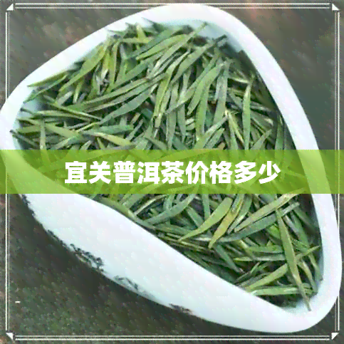 宜关普洱茶价格多少