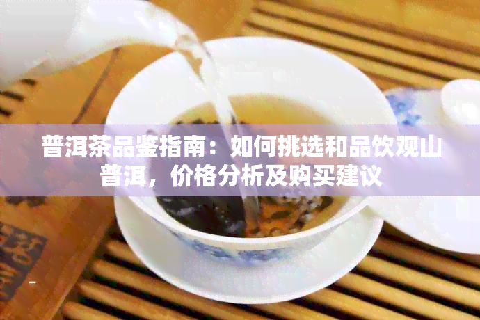 普洱茶品鉴指南：如何挑选和品饮观山普洱，价格分析及购买建议