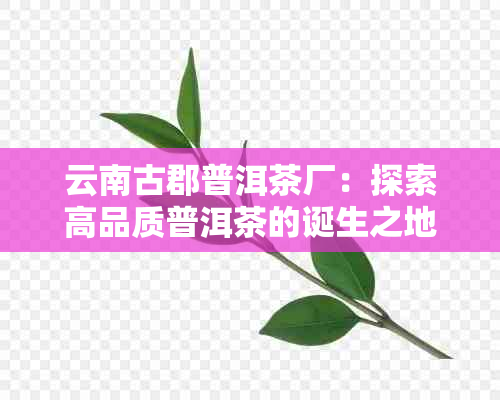 云南古郡普洱茶厂：探索高品质普洱茶的诞生之地