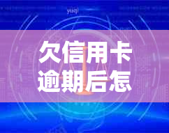 欠信用卡逾期后怎么还本金最划算？