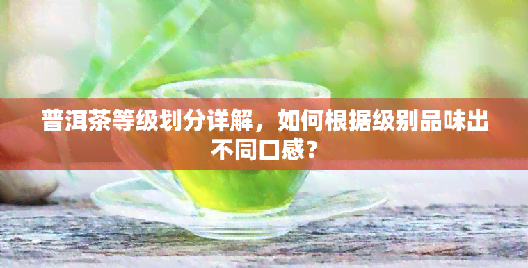 普洱茶等级划分详解，如何根据级别品味出不同口感？