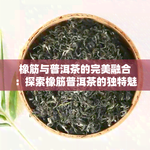 橡筋与普洱茶的完美融合：探索橡筋普洱茶的独特魅力