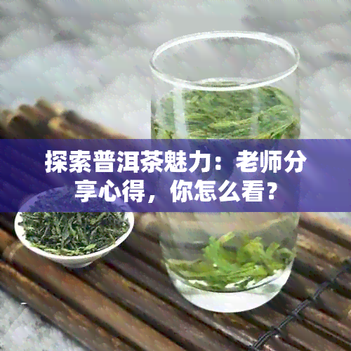 探索普洱茶魅力：老师分享心得，你怎么看？