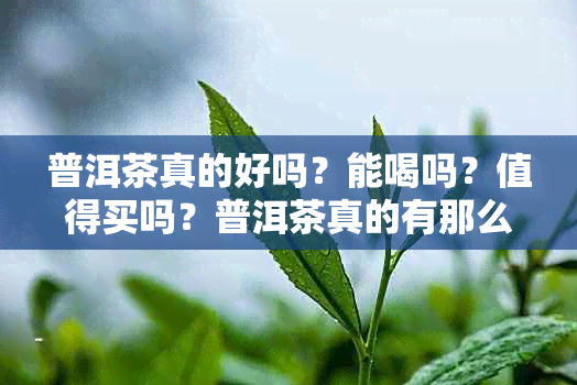 普洱茶真的好吗？能喝吗？值得买吗？普洱茶真的有那么好吗？