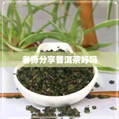 老师分享普洱茶好吗