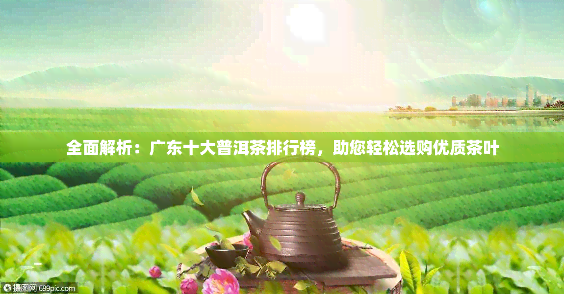 全面解析：广东十大普洱茶排行榜，助您轻松选购优质茶叶