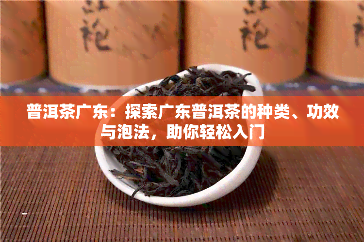 普洱茶广东：探索广东普洱茶的种类、功效与泡法，助你轻松入门