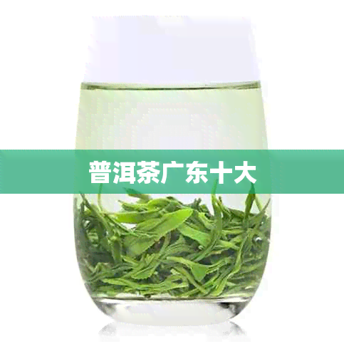 普洱茶广东十大