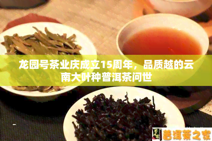 龙园号茶业庆成立15周年，品质越的云南大叶种普洱茶问世