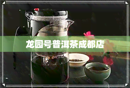 龙园号普洱茶成都店