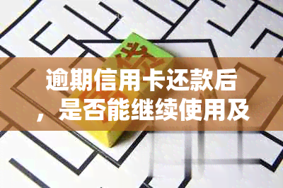 逾期信用卡还款后，是否能继续使用及详细操作指南