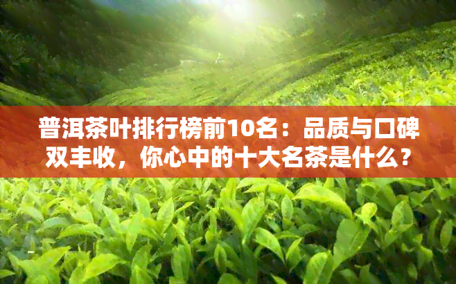 普洱茶叶排行榜前10名：品质与口碑双丰收，你心中的十大名茶是什么？