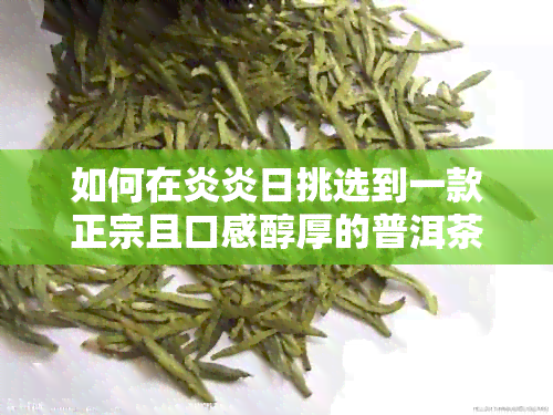 如何在炎炎日挑选到一款正宗且口感醇厚的普洱茶？