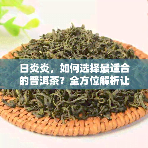 日炎炎，如何选择最适合的普洱茶？全方位解析让你轻松找到理想之选！