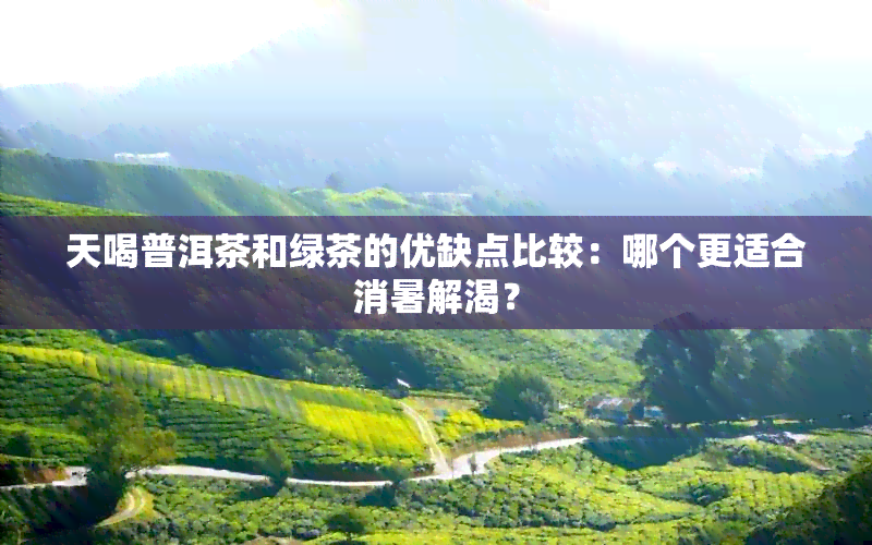 天喝普洱茶和绿茶的优缺点比较：哪个更适合消暑解渴？