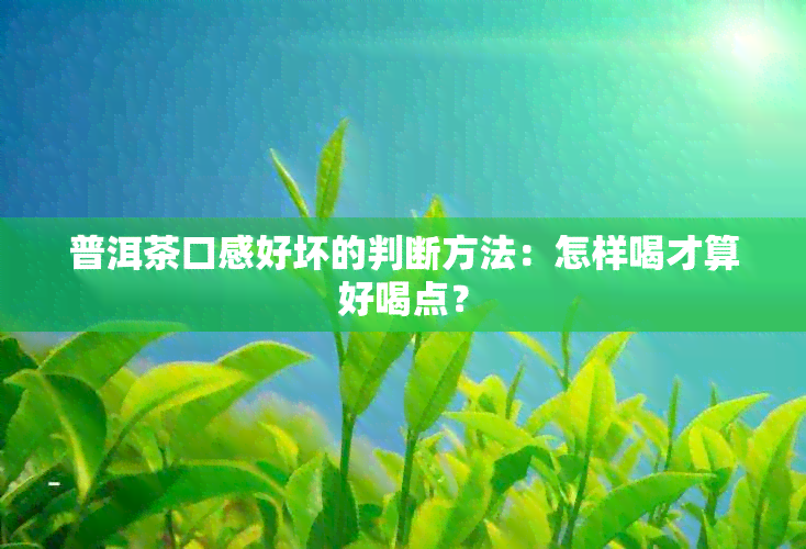 普洱茶口感好坏的判断方法：怎样喝才算好喝点？