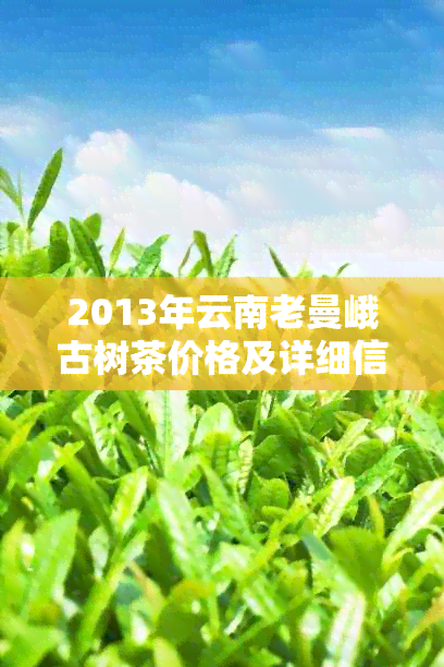 2013年云南老曼峨古树茶价格及详细信息表，图片与购买方式一网打尽