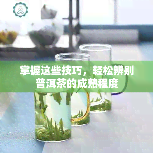 掌握这些技巧，轻松辨别普洱茶的成熟程度