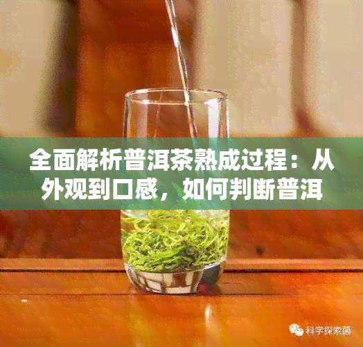 全面解析普洱茶熟成过程：从外观到口感，如何判断普洱茶是否熟透？