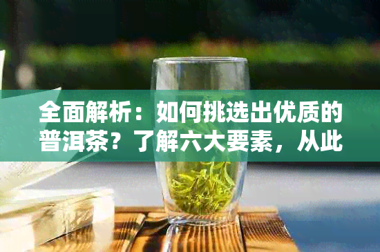 全面解析：如何挑选出优质的普洱茶？了解六大要素，从此喝出好口感！