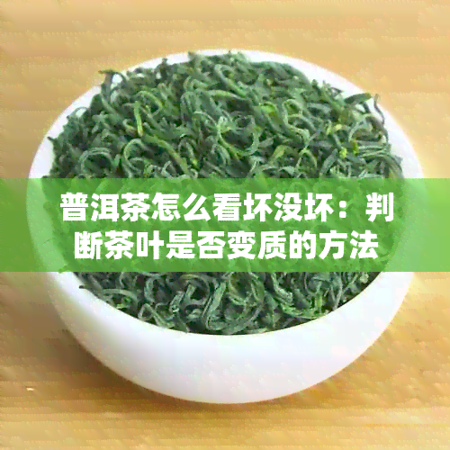 普洱茶怎么看坏没坏：判断茶叶是否变质的方法