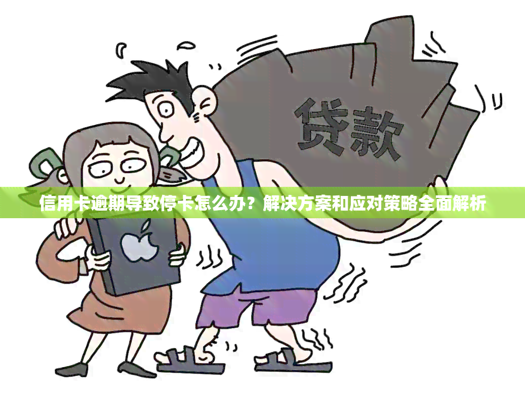 信用卡逾期导致停卡怎么办？解决方案和应对策略全面解析