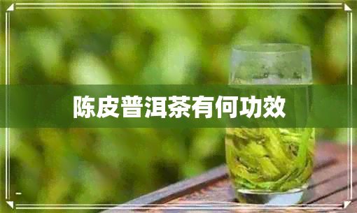 陈皮普洱茶有何功效