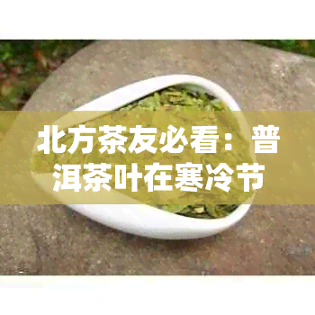 北方茶友必看：普洱茶叶在寒冷节的正确保存方法