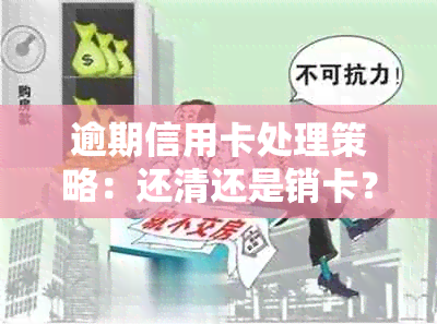 逾期信用卡处理策略：还清还是销卡？-欠信用卡逾期后还清之后有什么危害