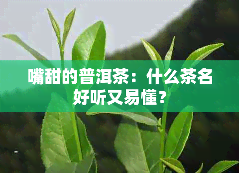 嘴甜的普洱茶：什么茶名好听又易懂？