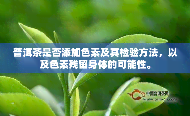 普洱茶是否添加色素及其检验方法，以及色素残留身体的可能性。