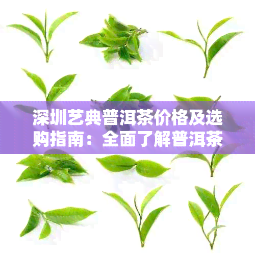 深圳艺典普洱茶价格及选购指南：全面了解普洱茶的品质与价格