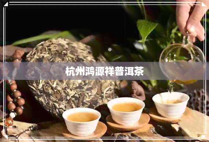 杭州鸿源祥普洱茶