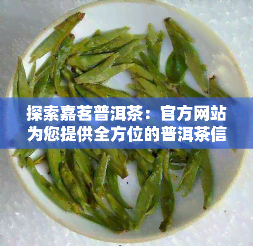 探索嘉茗普洱茶：官方网站为您提供全方位的普洱茶信息、品鉴教程和购买渠道